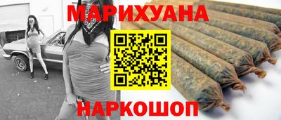 прущие крисы Кингисепп