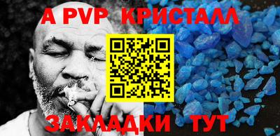 прущие крисы Кингисепп