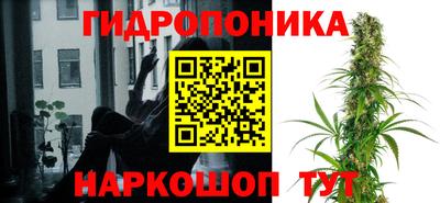 ALPHA PVP Кимры