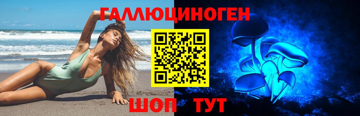 Хасавюрт  Псилоцибиновые грибы мухоморы  Вход с VPN 